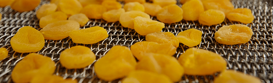 Dried apricots on the conveyor belt after the drying process.